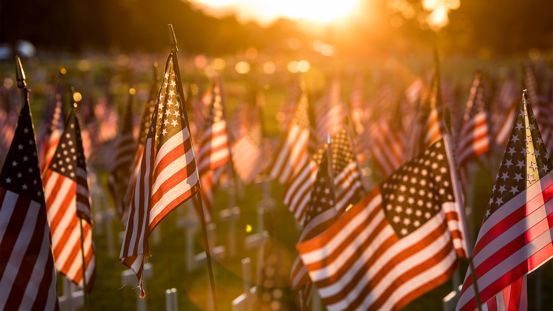 Field of small American flags glowing in the warm light of a sunset.